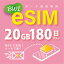 eSIMǡʪΤϤʤ᡼ˤ  eSIM 20GB/180 ץڥ e-SIM ǡ̿ docomo MVNO  4G/LTEб Ĺ esim eSIMбѡ