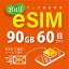 eSIMǡʪΤϤʤ᡼ˤ  eSIM 90GB/60 ץڥ e-SIM ǡ̿ docomo MVNO  4G/LTEб Ĺ esim eSIMбѡ