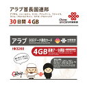 Au񒷍AM f[^ʐMpSIMJ[h(4GB/30) Jʊ2024/12/31 AuSIM UAESIM uaeSIM  vyCh sim COo China Unicom