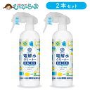【特典付】2本セット 電解水クリーナー 300ml べリクリーン ph12.5【 除菌スプレー 拭き取り不要 ノンアルコール アルコール不使用 強アルカリ 電解...