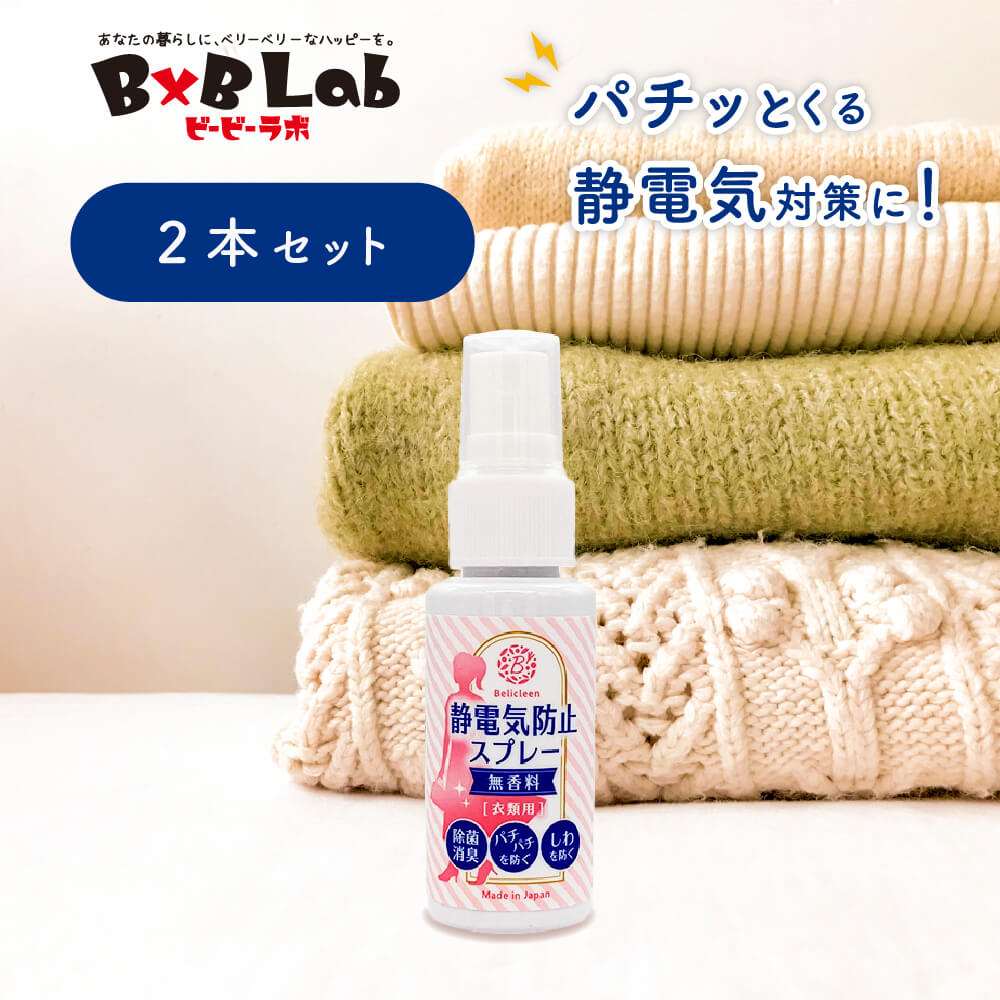 静電気防止スプレー 無香料 30ml 2本 べリクリーン Belicleen 【 静電気防止 スプレー 手袋 靴 除去 グッズ 業務用 アクリル スリッパ 車 ...