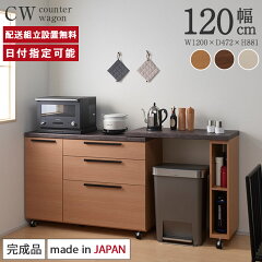 https://thumbnail.image.rakuten.co.jp/@0_mall/byyourside/cabinet/items/cart/cw_120w.jpg