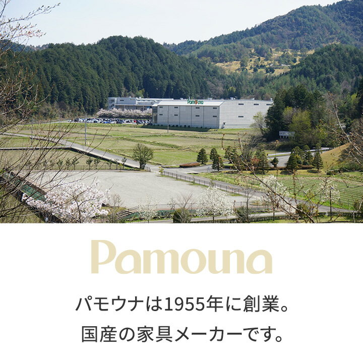 パモウナ カウンター 幅60cm 奥行45cm 高さ94cm EC 下台販売 完成品 棚 国産 日本...