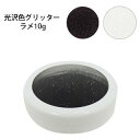 光沢色 グリッター ラメ ホワイトパープ 10g 丸ケース入り