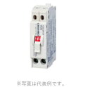河村電器 NCS2P2E50FノーヒューズブレーカーNCS-F(電気温水器専用)