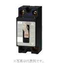 カワムラ SE 2P2E30S ノーヒューズブレーカ SE-S 分岐回路用(送料無料)