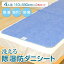 除湿防ダニ防臭シート/4人用 110×180cm 2枚入り 洗える 繰り返し 除湿シート 防ダニ 防臭 防カビ 抗菌 菌 湿気 除湿 カビ シリカゲル 布団 ベッド 寝具 押入れ