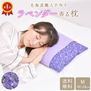 送料無料 ラベンダー快眠枕 大サイズ・40×28cm 北海道職人手作り ラベンダー枕 土産 手作り そば殻枕 蕎麦殻枕 そば枕 そばがら枕 ラベンダーポプリ 松本 日本製 快眠 癒し リラックス ハーブ ギフト プレゼント まくら 技の匠・井上職人