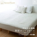 「P10+CPでMAX2000円OFF」天竺ニット 敷きパッド 一体型 ボックスシーツ キング 3人用 4人用 5人用 ファミリー 綿100% コットン 天竺 綿 着脱簡単 おしゃれ 無地 杢カラー くすみカラー 通年 HarvestRoom ファミリーサイズ マットレスカバー ベッドパット