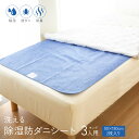 【期間限定P10倍】除湿防ダニ防臭シート / 3人用 キング 90×180cm 2枚入り 洗える 繰り返し 除湿シート 防ダニ 防臭 防カビ 抗菌 菌 湿気 除...