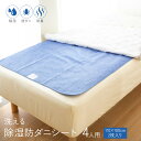 【期間限定P10倍】除湿防ダニ防臭シート / 4人用 110×180cm 2枚入り 洗える 繰り返し 除湿シート 防ダニ 防臭 防カビ 抗菌 菌 湿気 除湿 カ...