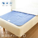 【期間限定P10倍】除湿防ダニ防臭シート / ダブル 130×180cm 洗える 繰り返し 除湿シート 防ダニ 防臭 防カビ 抗菌 菌 湿気 除湿 カビ シリカ...