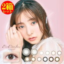 2箱セット カラコン エバーカラーワンデー ナチュラル 1箱20枚入り 度あり 度なし ever Color 1day Natural 度あり・度なし シャンパンブラウン ナチュラルブラウン ナチュラルブラック 14.5mm カラコン サークルレンズ リング