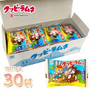 カクダイ製菓 クッピーラムネ 11g×30袋