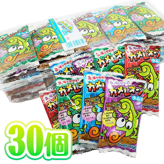 キッコー製菓 カメレオンラムネ 30個装入
