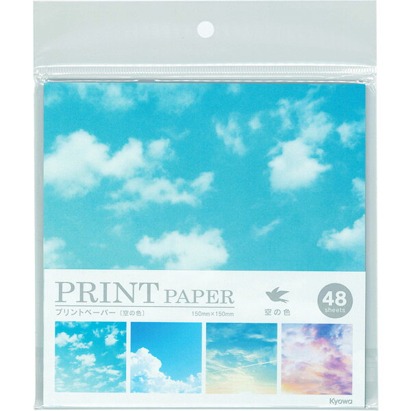 �ץ��ȥڡ��ѡ� ���ο� 48��