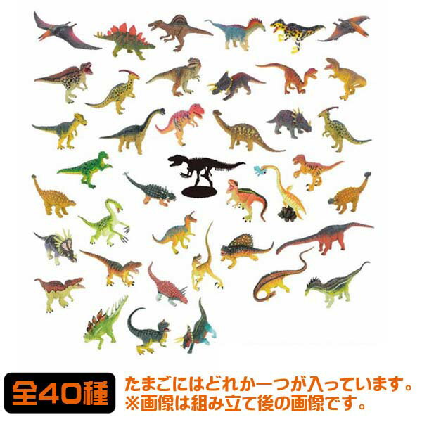 4D�ѥ��� �����륹DX