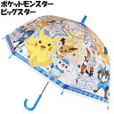 子供ビニール傘 ポケットモンスター ビッグスター