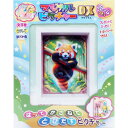 マジカルピクチャーDX レッサーパンダ