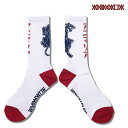 2023 H~ s\ 9`10ח\ Aj}A \bNX ANIMALIA SOX - Panther - Y C