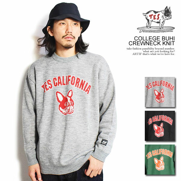 エンドレスサマー ニット The Endless Summer TES COLLEGE BUHI CREWNECK KNIT メンズ セーター クルーネック ストリート