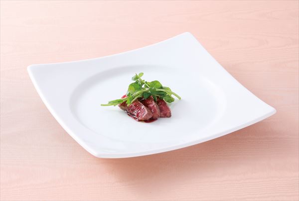 23cmスクエアプレート　サイズ：23×H4.3cm 業務用 キッチン用品 厨房用品 食器 居酒屋 おしゃれ食器 創作料理