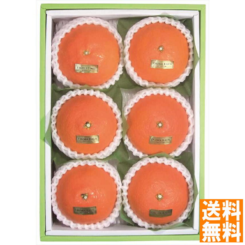 送料無料 佐賀産 清見オレンジ 全国送料無料 ギフト 早割 お中元 お歳暮 御見舞 お見舞い お取り寄せ グルメスイーツのサムネイル