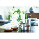 「茶き」急須・ざらめ(小) CHA-2