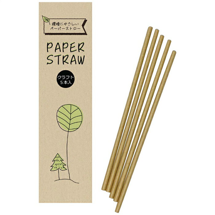 環境にやさしいペーパーストロー5本入 内祝 内祝い お祝 御祝 記念品 出産内祝い プレゼント 快気祝い 粗供養 引出物