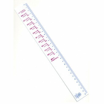 エコ・直定規30cm つもりちがい十か条 ECN-3010 クリスマス 干支 正月 年末年始 販促品 粗品 迎春