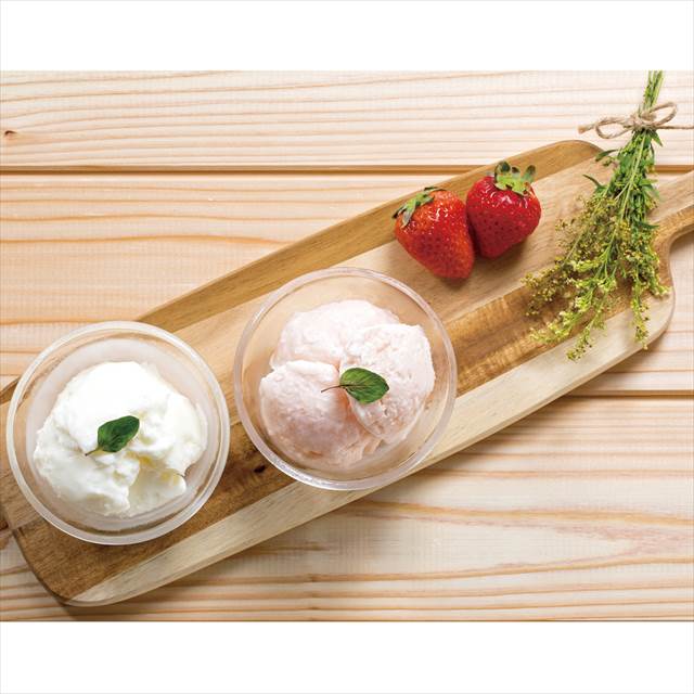 信州・フローズンヨーグルト10個 10 景品 記念品 粗品 ノベルティ 名入れ 御挨拶 ご挨拶