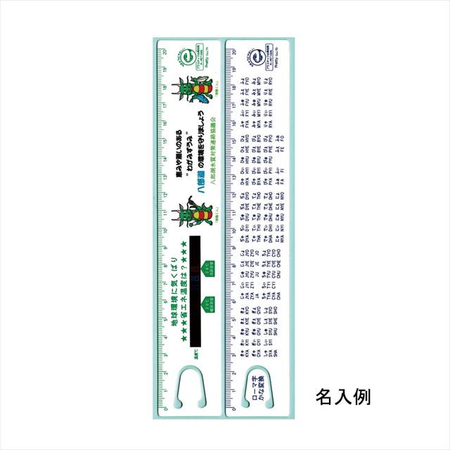 エコ・省エネサーモ 直定規・両面20cm ECN-21S 景品 記念品 粗品 ノベルティ 名入れ 御挨拶 ご挨拶