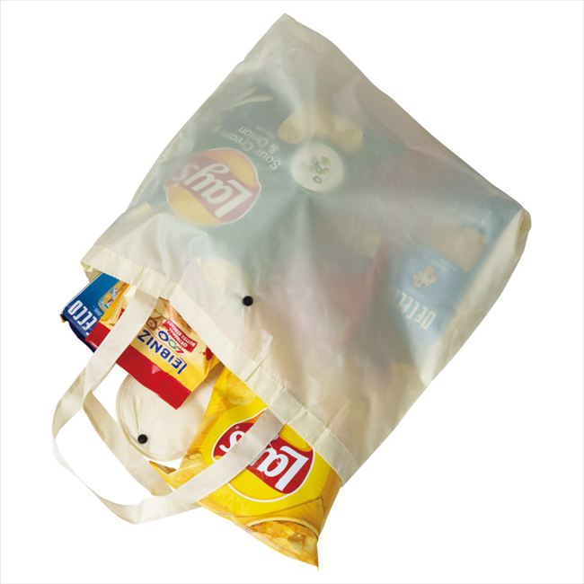 簡単収納エコバッグ ベージュ E3402 内祝 内祝い お祝 御祝 記念品 出産内祝い プ...