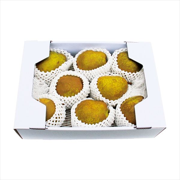 山形産 ラ・フランス 3kg LF-88G 内祝 内祝い お祝 御祝 記念品 出産内祝い プレゼント 快気祝い 粗供養 引出物