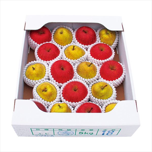 山形産 ラ・フランス&ふじりんご 5kg LA-128G 内祝 内祝い お祝 御祝 記念品 出産内祝い プレゼント 快気祝い 粗供養 引出物