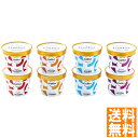 送料無料 ガレー ガレー プレミアム アイスクリーム8個セット ※(注)沖縄・離島は配達不可 全国送料無料 お中元 ギフト 早割 お中元 2025 御見舞 お見舞い お取り寄せ グルメスイーツ