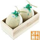 送料無料 静岡県産 マスクメロン2玉 木箱入 (お届けは7月下旬) ※(注)沖縄・離島は配達不可 全国送料無料 お中元 ギフト 早割 お中元 2025 御見舞 ...