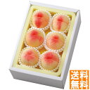 送料無料 岡山県産 岡山の桃 5〜6玉 (お届けは7月下旬)※(注)沖縄・離島は配達不可 全国送料無料 お中元 ギフト 早割 お中元 2025 御見舞 お見舞い...