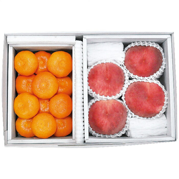 送料無料 山梨県又は長野県産 桃4玉&佐賀県産 ハウスみかん (お届けは7月下旬)※(注)沖縄・離島は配達不可 全国送料無料 お中元 ギフト 早割 お中元 2025 御見舞 お見舞い お取り寄せ グルメスイーツ