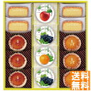送料無料 井桁堂 ジュレ&ガトー 14個入 JG14 ※(注)沖縄・離島は配達不可 全国送料無料 お中元 ギフト 早割 お中元 2025 御見舞 お見舞い お取り寄せ グルメスイーツ