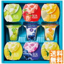 送料無料 ひととえ 凍らせて食べる アイスデザート~国産フルーツ入り~ IDE-20 ※(注)沖縄・離島は配達不可 全国送料無料 お中元 ギフト 早割 お中元 2025 御見舞 お見舞い お取り寄せ グルメスイーツ
