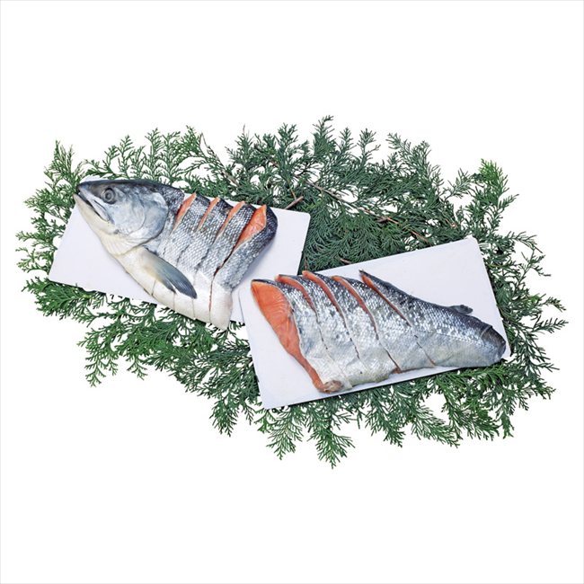 0 北海道産銀毛新巻鮭 76100 内祝 内祝い お祝 御祝 記念品 出産内祝い プレゼント 快気祝い 粗供養 引出物