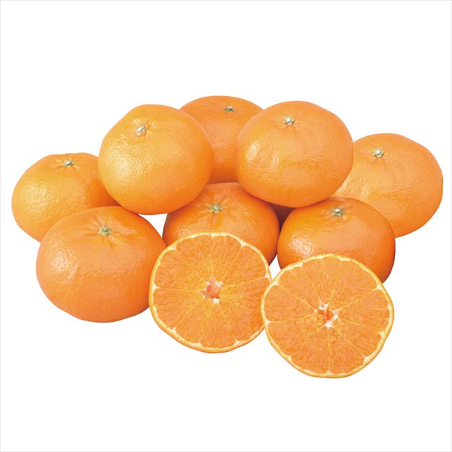 0 せとか2.4kg 0 内祝 内祝い お祝 御祝 記念品 出産内祝い プレゼント 快気祝い 粗供養 引出物