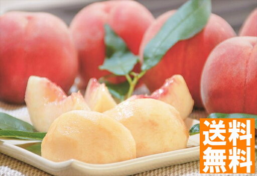送料無料 山梨 かのいわ 中央共選所 山梨の桃 (注)※6/12以降の出荷予定となります。北海道・沖縄・離島は配達不可 全国送料無料 御中元ギフト 早割 お中元2025 御中元 御見舞 お見舞い お取り寄せ グルメスイーツ 送料無料 山梨 かのいわ 中央共選所 山梨の桃 (注)※6/12以降の出荷予定となります。北海道・沖縄・離島は配達不可 全国送料無料 御中元ギフト 早割 お中元2025 御中元 御見舞 お見舞い お取り寄せ グルメスイーツ