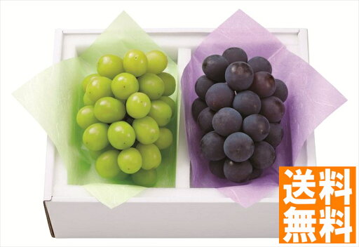 送料無料 岡山産シャインマスカット&種なしピオーネ (注)※6/12以降の出荷予定となります。北海道・沖縄・離島は配達不可 全国送料無料 御中元ギフト 早割 お中元2025 御中元 御見舞 お見舞い お取り寄せ グルメスイーツ 送料無料 岡山産シャインマスカット&種なしピオーネ (注)※6/12以降の出荷予定となります。北海道・沖縄・離島は配達不可 全国送料無料 御中元ギフト 早割 お中元2025 御中元 御見舞 お見舞い お取り寄せ グルメスイーツ