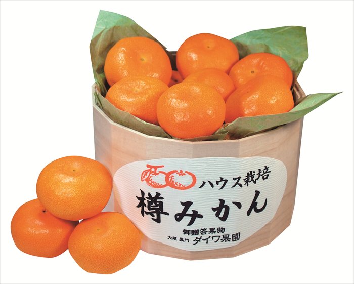 送料無料 ダイワ果園 ハウス栽培 樽みかん (注)※6/12以降の出荷予定となります。北海道・沖縄・離島は配達不可 全国送料無料 御中元ギフト 早割 お中元2025 御中元 御見舞 お見舞い お取り寄せ グルメスイーツ