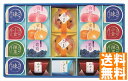 送料無料 井村屋 涼水彩 (注)※6/12以降の出荷予定となります。北海道・沖縄・離島は配達不可 全国送料無料 御中元ギフト 早割 お中元2025 御中元 御見舞 お見舞い お取り寄せ グルメスイーツ