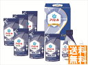 送料無料 アリエール 液体洗剤セット (注)※6/12以降の出荷予定となります。北海道・沖縄・離島は配達不可 全国送料無料 御中元ギフト 早割 お中元2025 ...