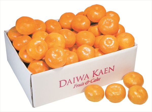 送料無料 ダイワ果園 愛媛みかん 全国送料無料 御歳暮ギフト 早割 お歳暮2025 御見舞 お見舞い お取り寄せ グルメスイーツ