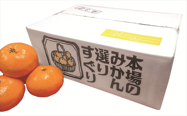 送料無料 愛媛産真穴みかん 全国送料無料 御歳暮ギフト 早割 お歳暮2025 御見舞 お見舞い お取り寄せ ..